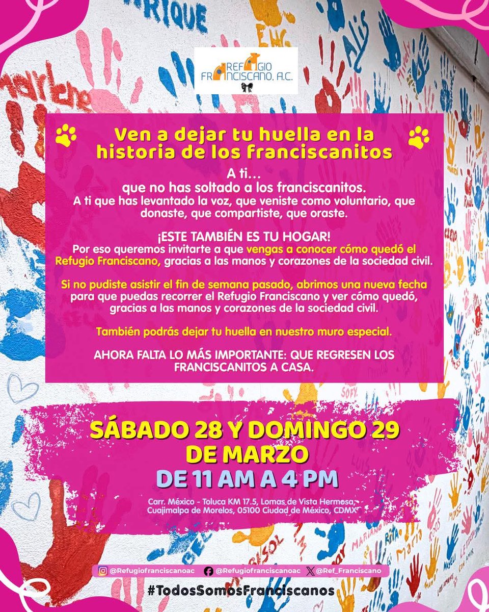 Sergio Pacheco tweet media