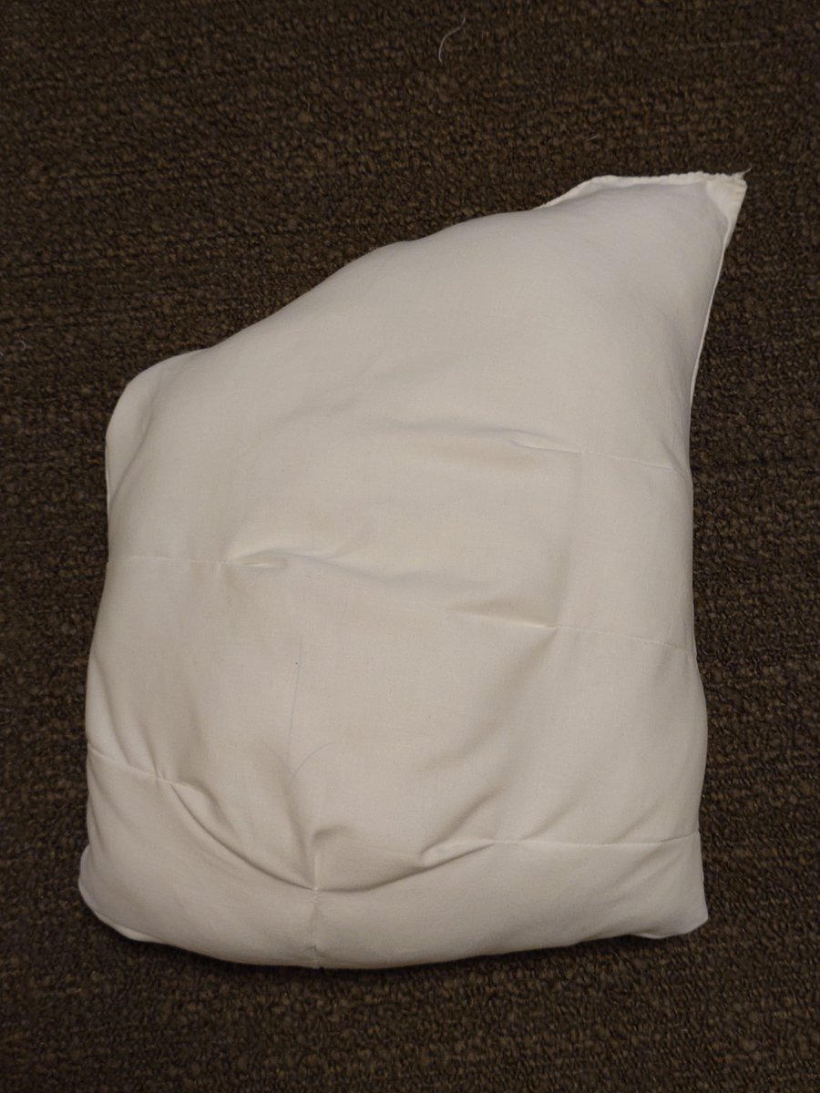 るーがるー tweet media