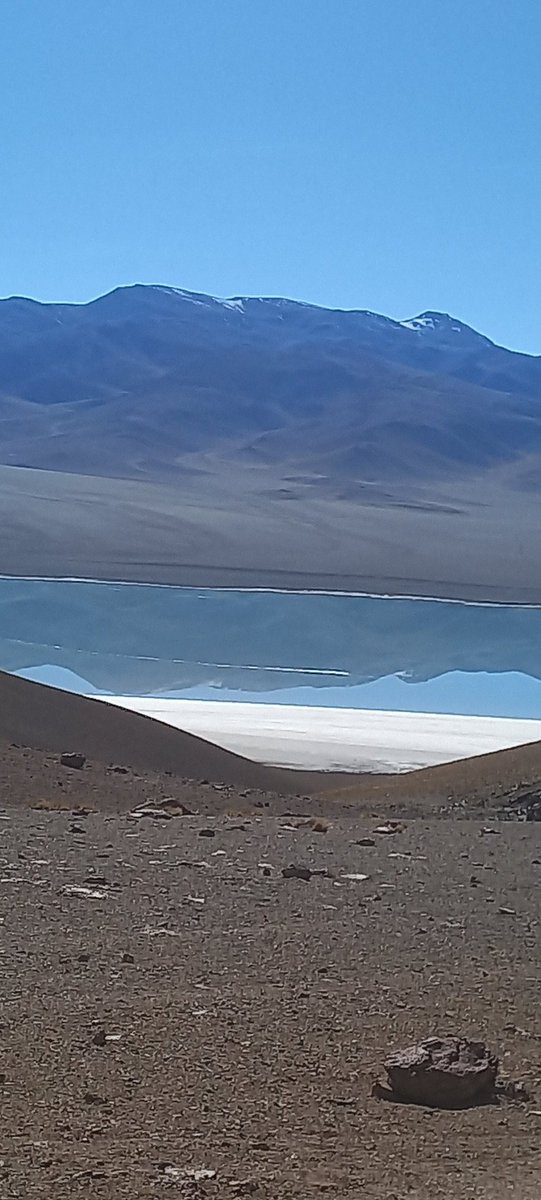 JORGE EN LA CLANDESTINIDAD tweet media