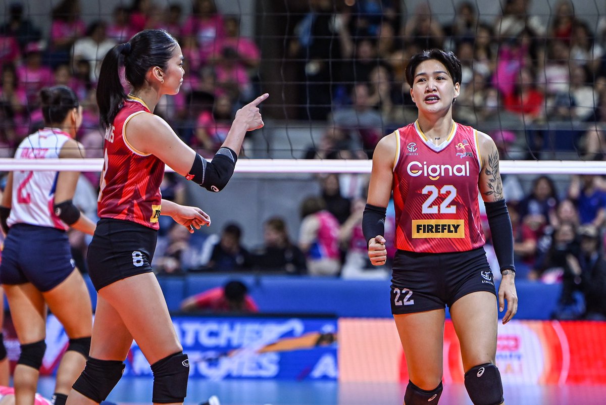 Torey Canino tweet media