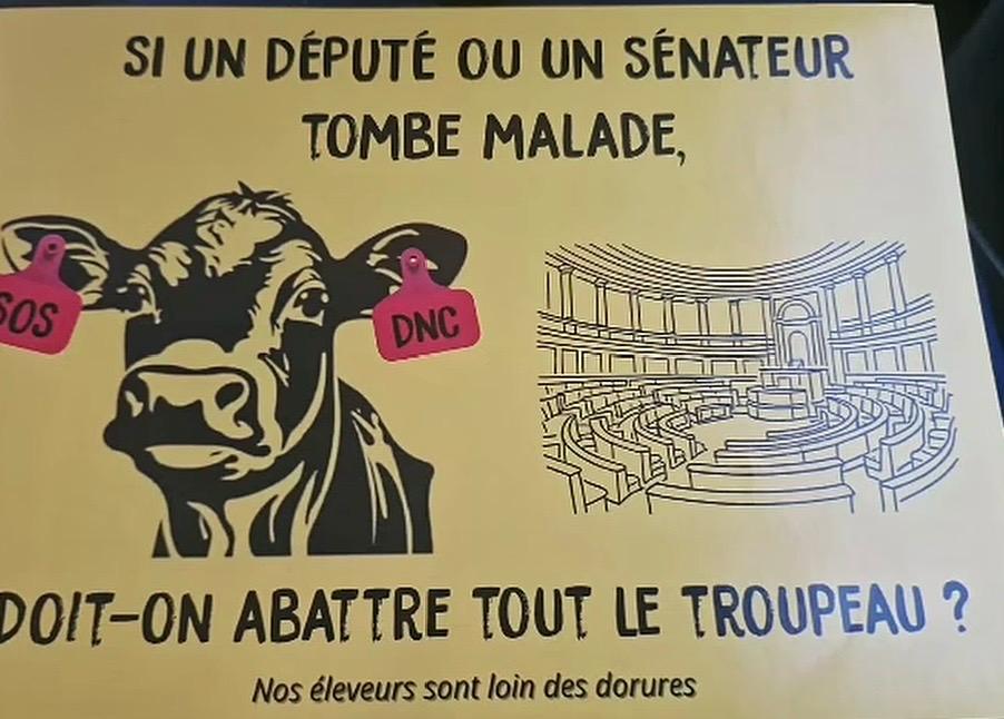 Nois Calmi tweet media