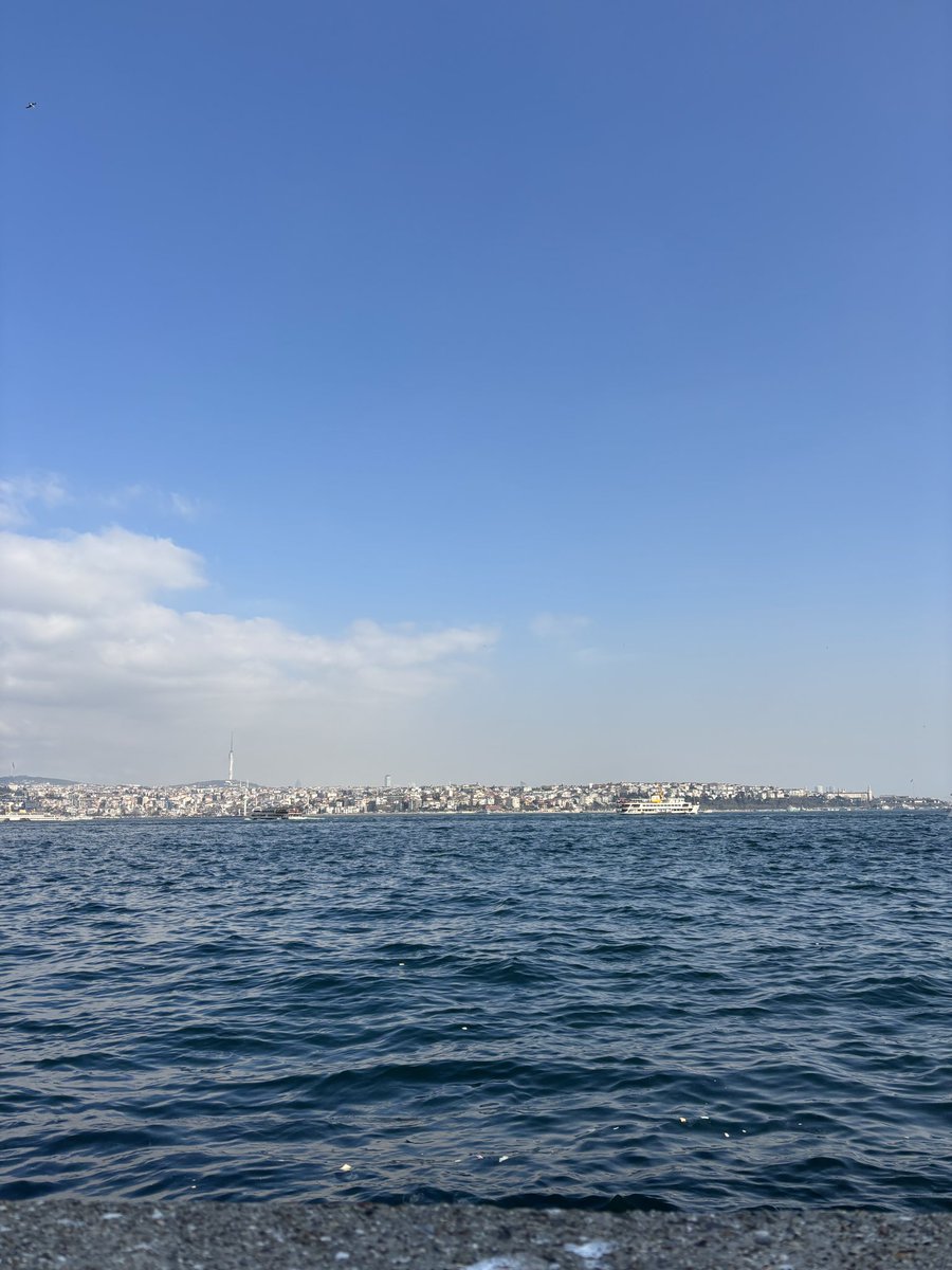 mıstık tweet media