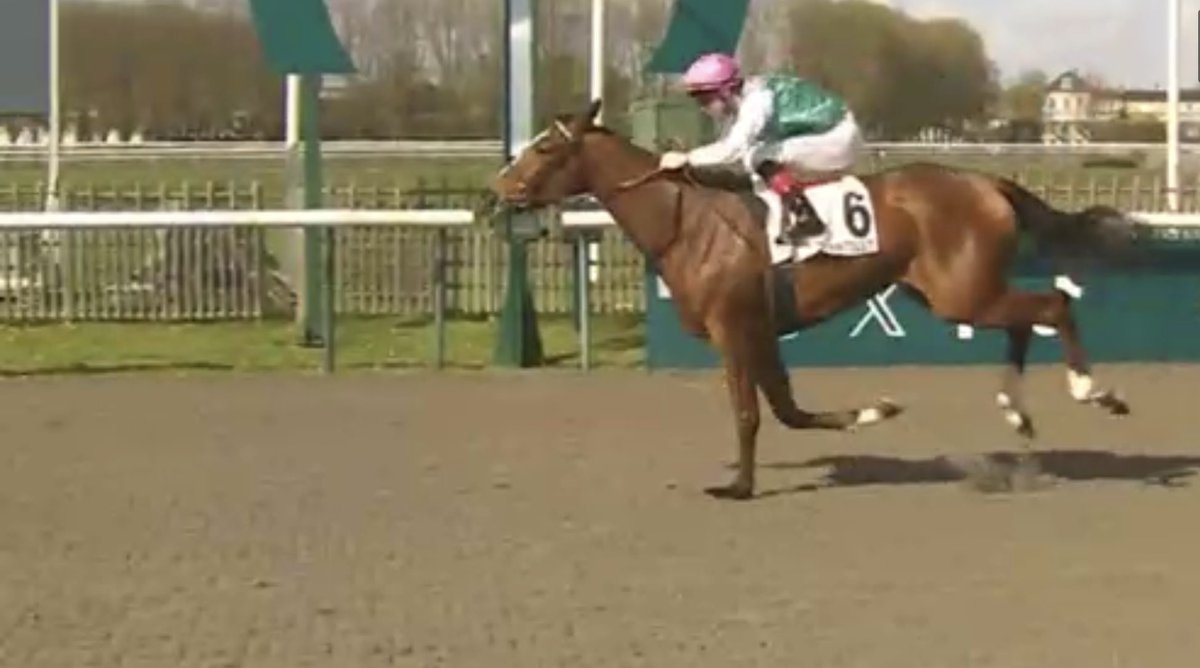 Thoroughbred Thoughts tweet media