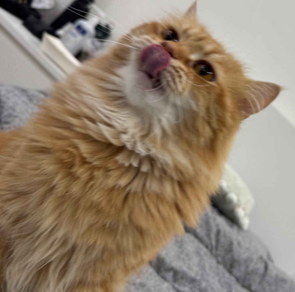 مـُنـىٰ tweet media