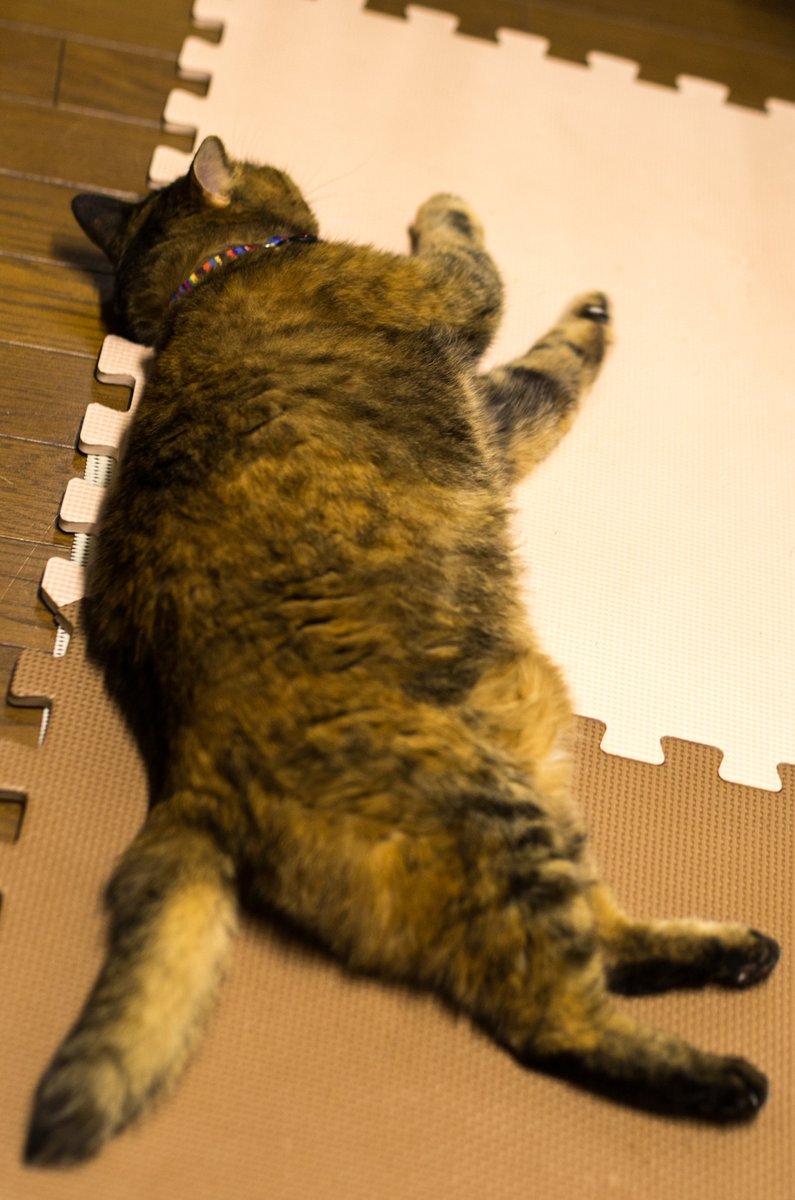 らるか tweet media