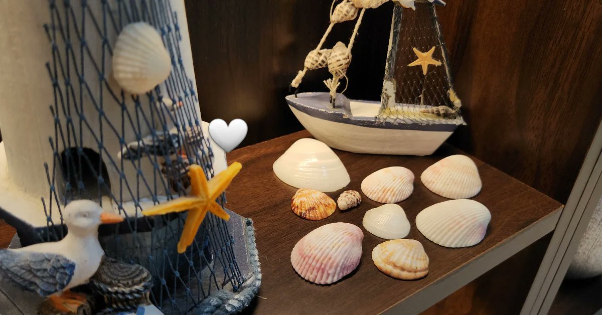 🐚😔