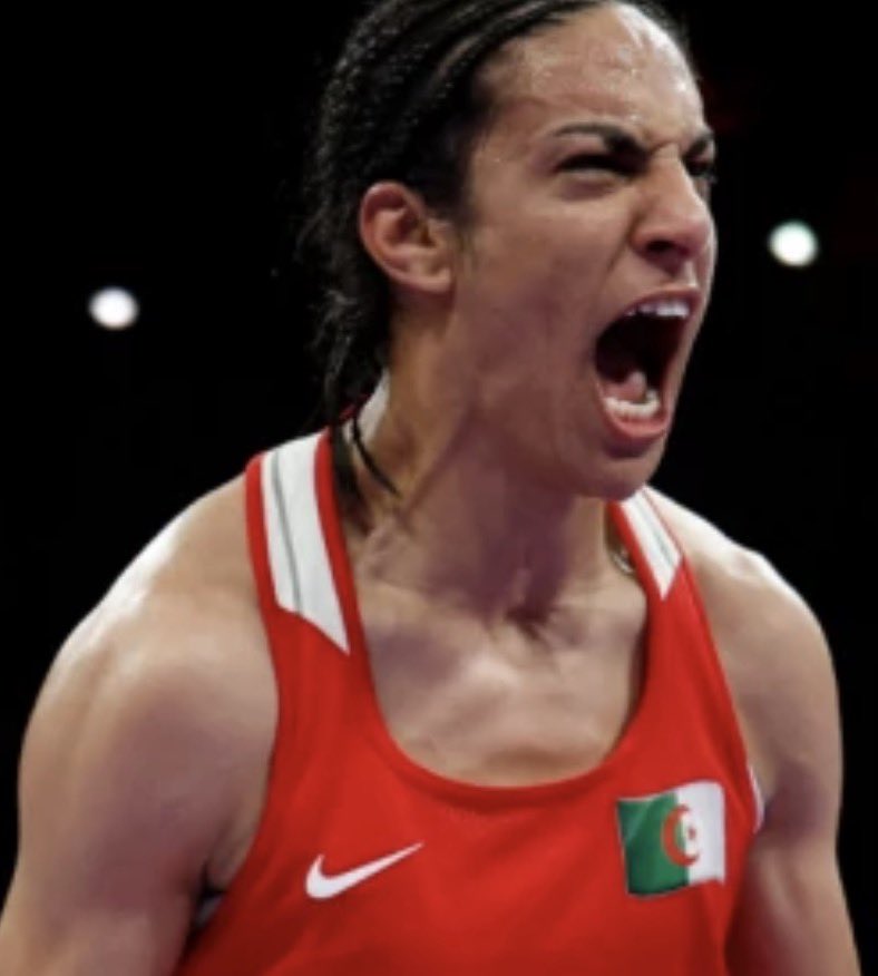 @JudeanGeneral ll 🇺🇸 🇮🇱 tweet media