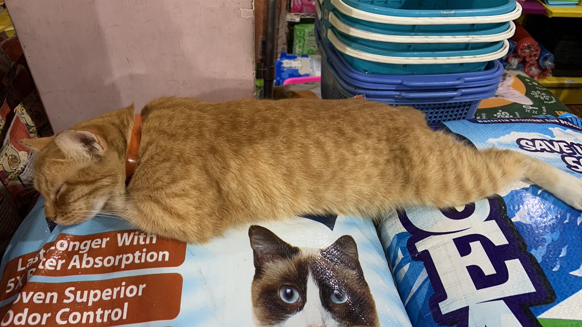 ˣʰ𝘶𝘤𝘰𝘬🍄 tweet media