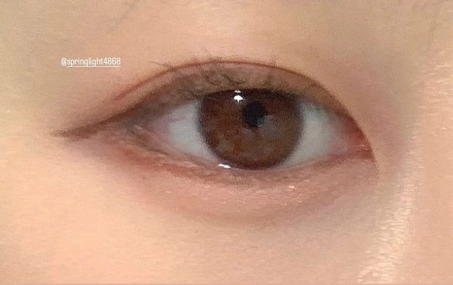 봄몽 tweet media