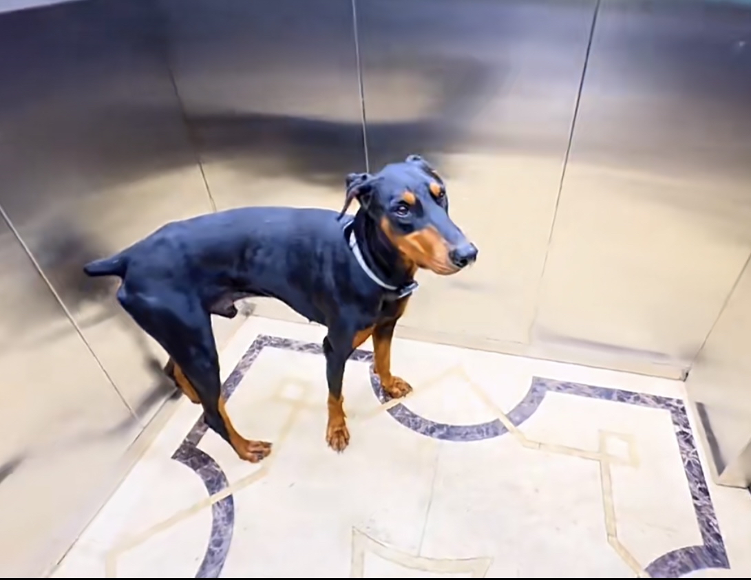 Leanne Melrose tweet media