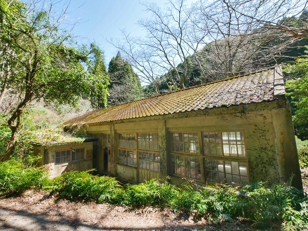 Departure tweet media