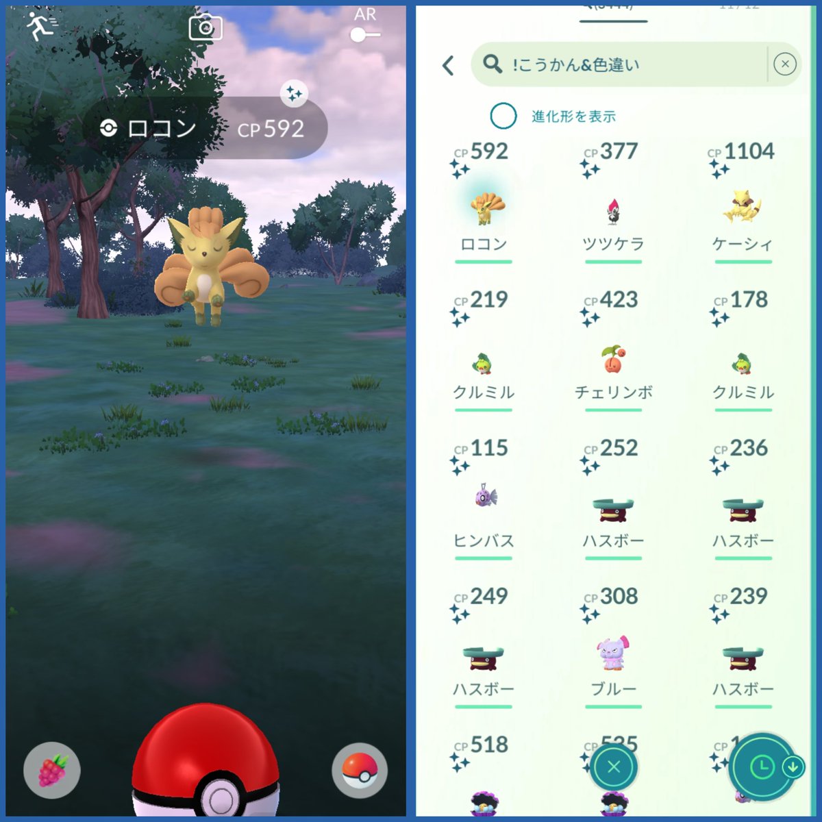 珈琲☕️@連続色違い471日 tweet media