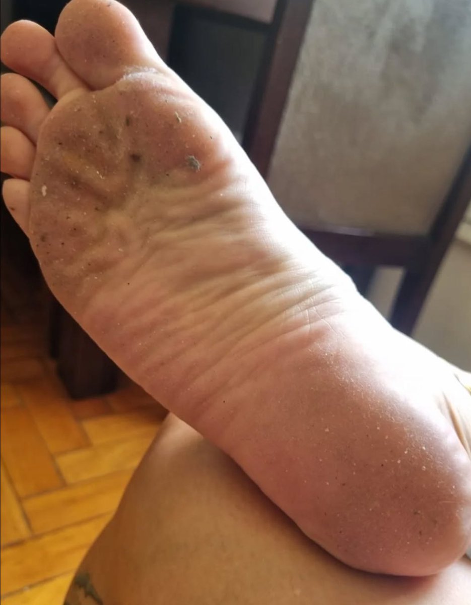 Musa Vênus ☀️ tweet media