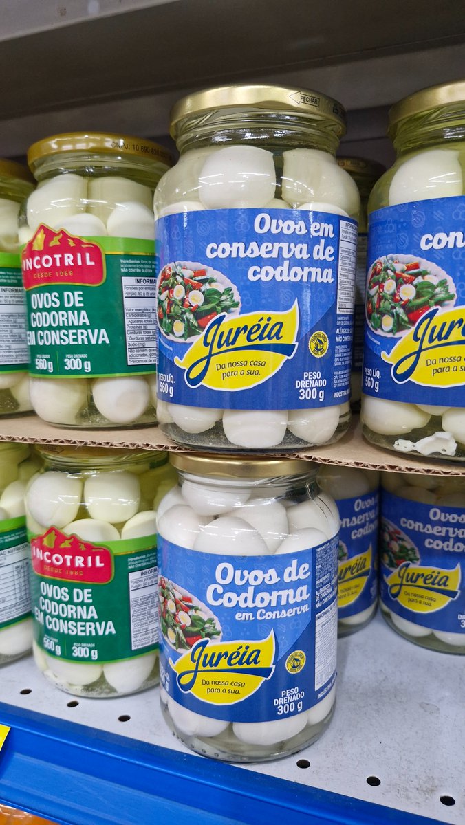 pet 🐶☕ tweet media