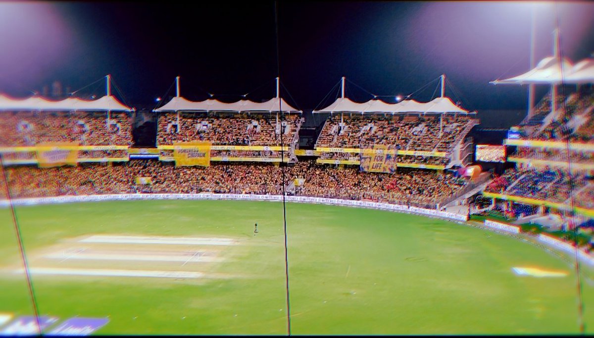 Sharon Solomon tweet media