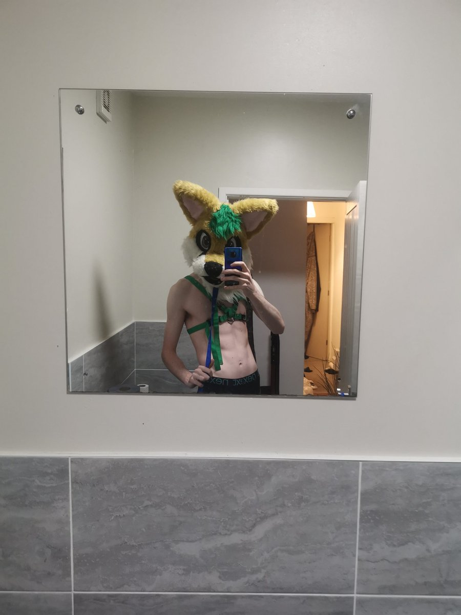 cometfoxo03's tweet photo. Ooomf wants to tug on the lead https://t.co/j3mNIykRaX