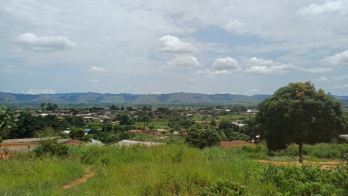 Z buta dookoła Świata tweet media