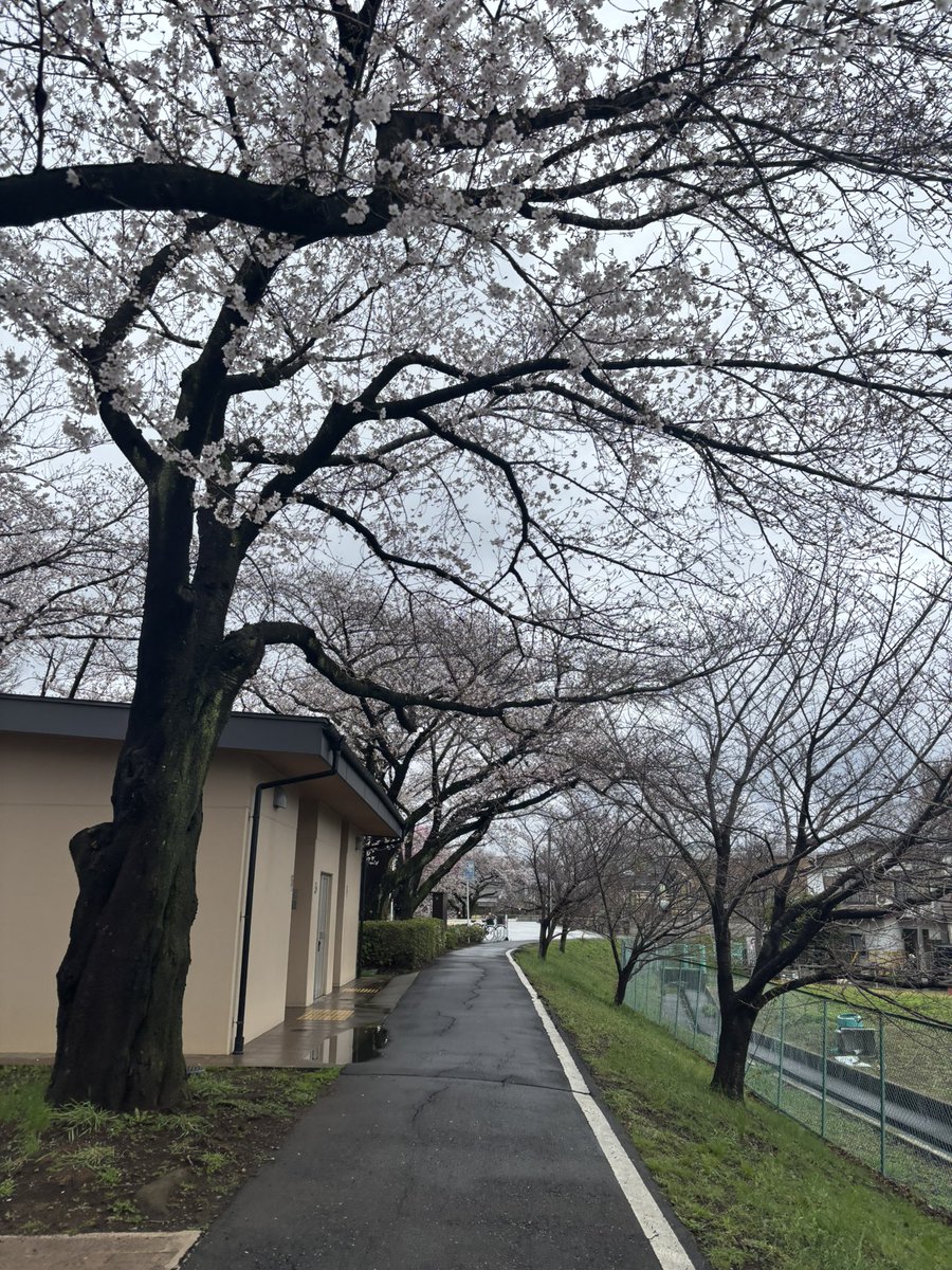 koko🏍垢 tweet media