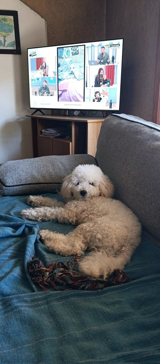 rooci157's tweet photo. #nadiedicenada con Loki https://t.co/u9D87rn2PQ
