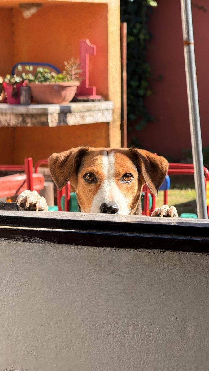 #NADIEDICENADA loli espiando