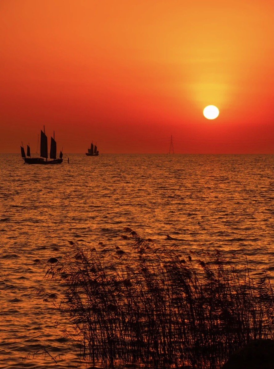 Emilie Pregel tweet media