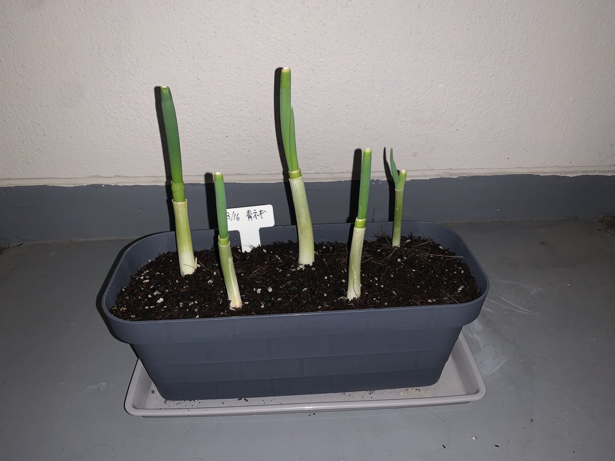 FIREへのみちのり tweet media