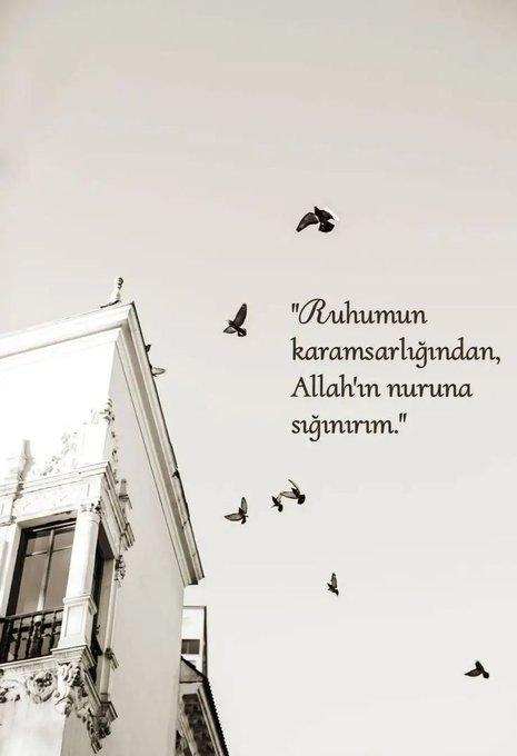 Selamün Aleyküm 

Cumanız mübarek olsun.

Kazancınız bol ve Bereketli olsun 

#hayirlicumalar