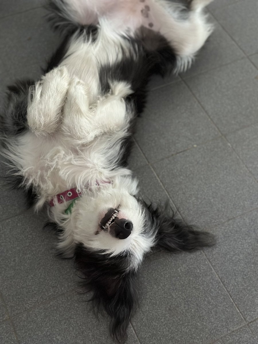 NALA #nadiedicenada