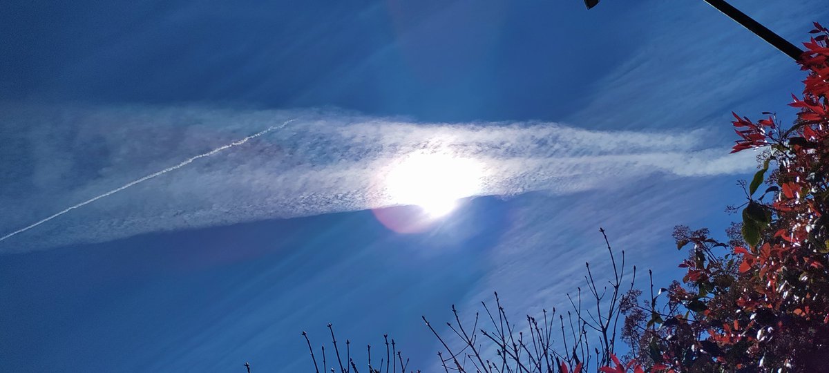 Iamconcerned tweet media