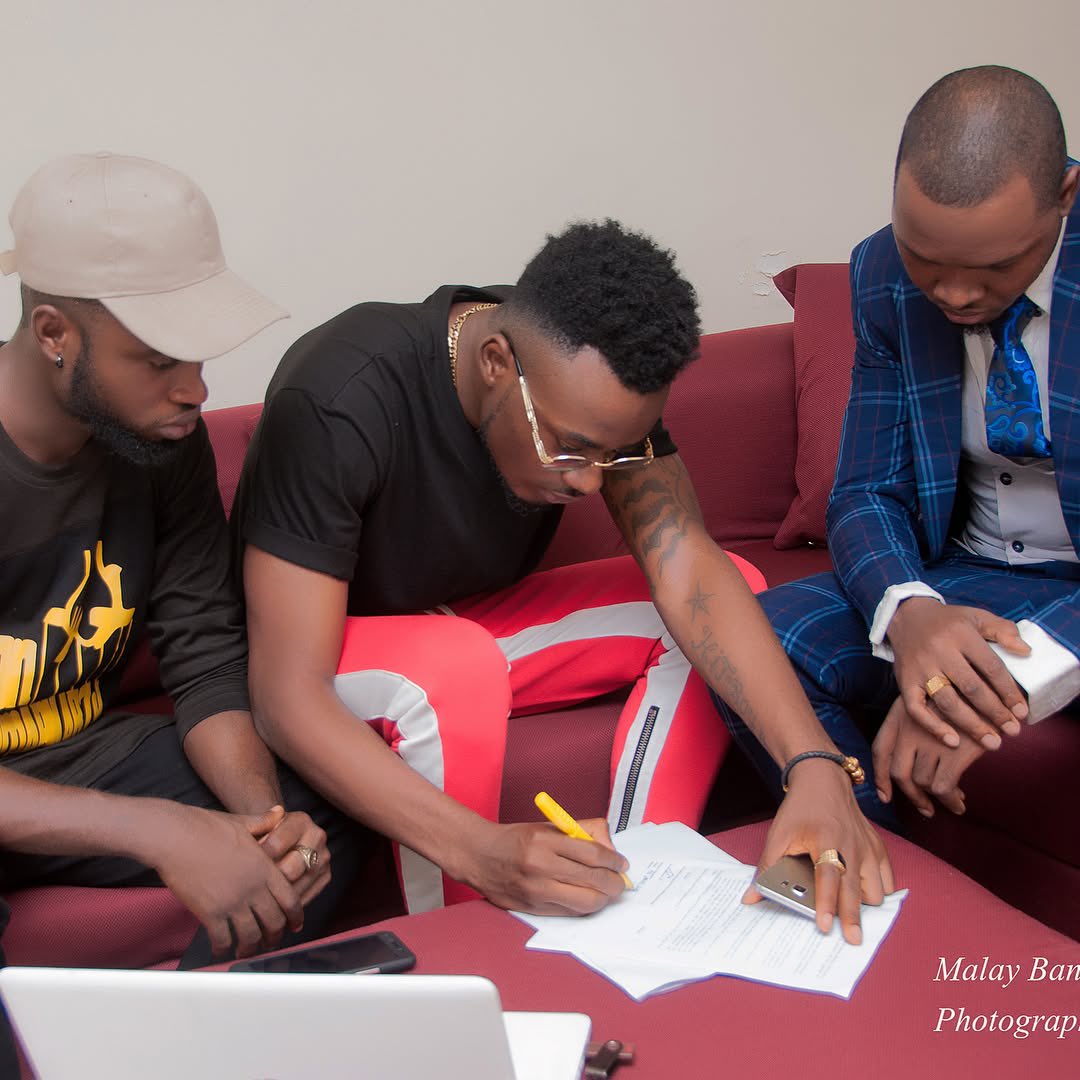 MindMazin tweet media