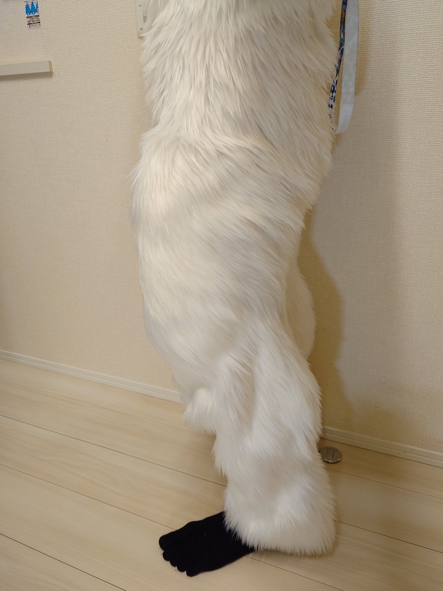 るーがるー tweet media