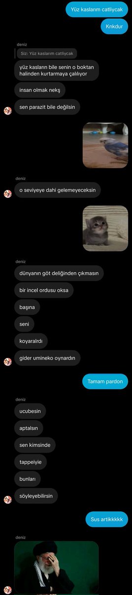 Gigacat217 tweet media