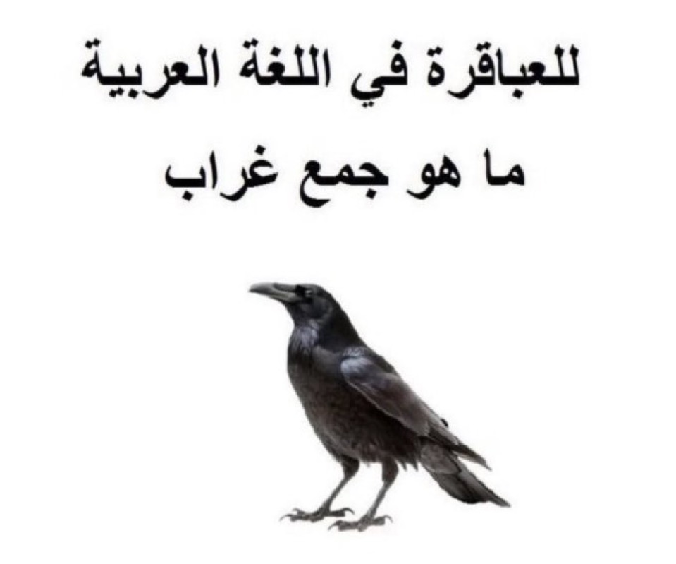اجتماعي. tweet media