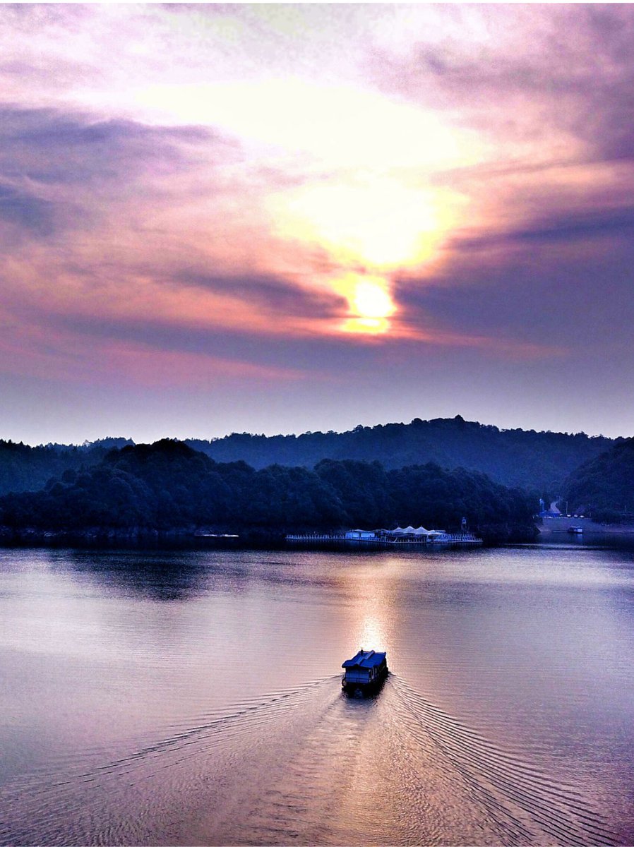 daniel forcadell tweet media