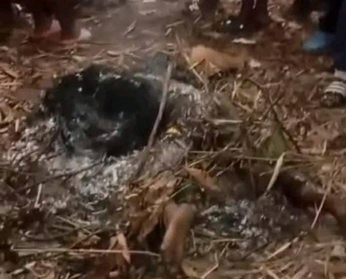 𝐃𝐀𝐍𝐈𝐄𝐋 𝐊𝐋𝐄𝐁𝐄𝐑 🇨🇩™ tweet media