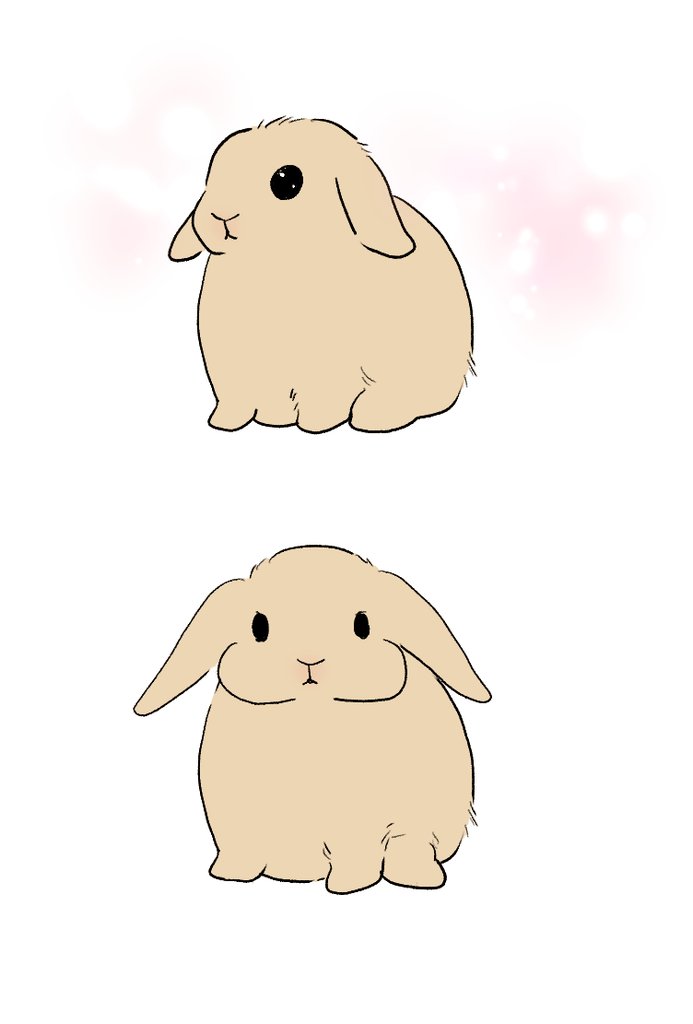 톡겨농장 tweet media