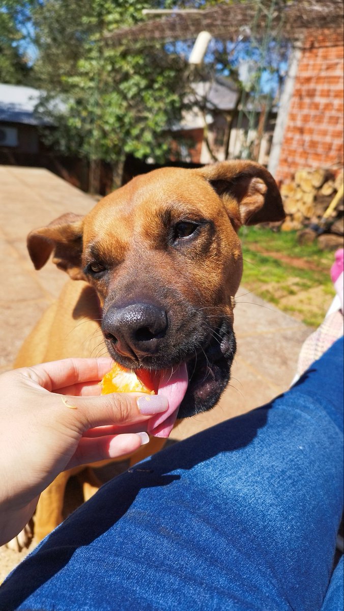 ChristinCande's tweet photo. Tokio por La Casa de papel, adicta a la mandarina 💘 #nadiedicenada https://t.co/7lEEvl3H3s