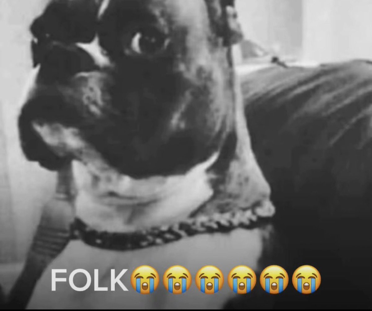 ︎ ®⃤ tweet media