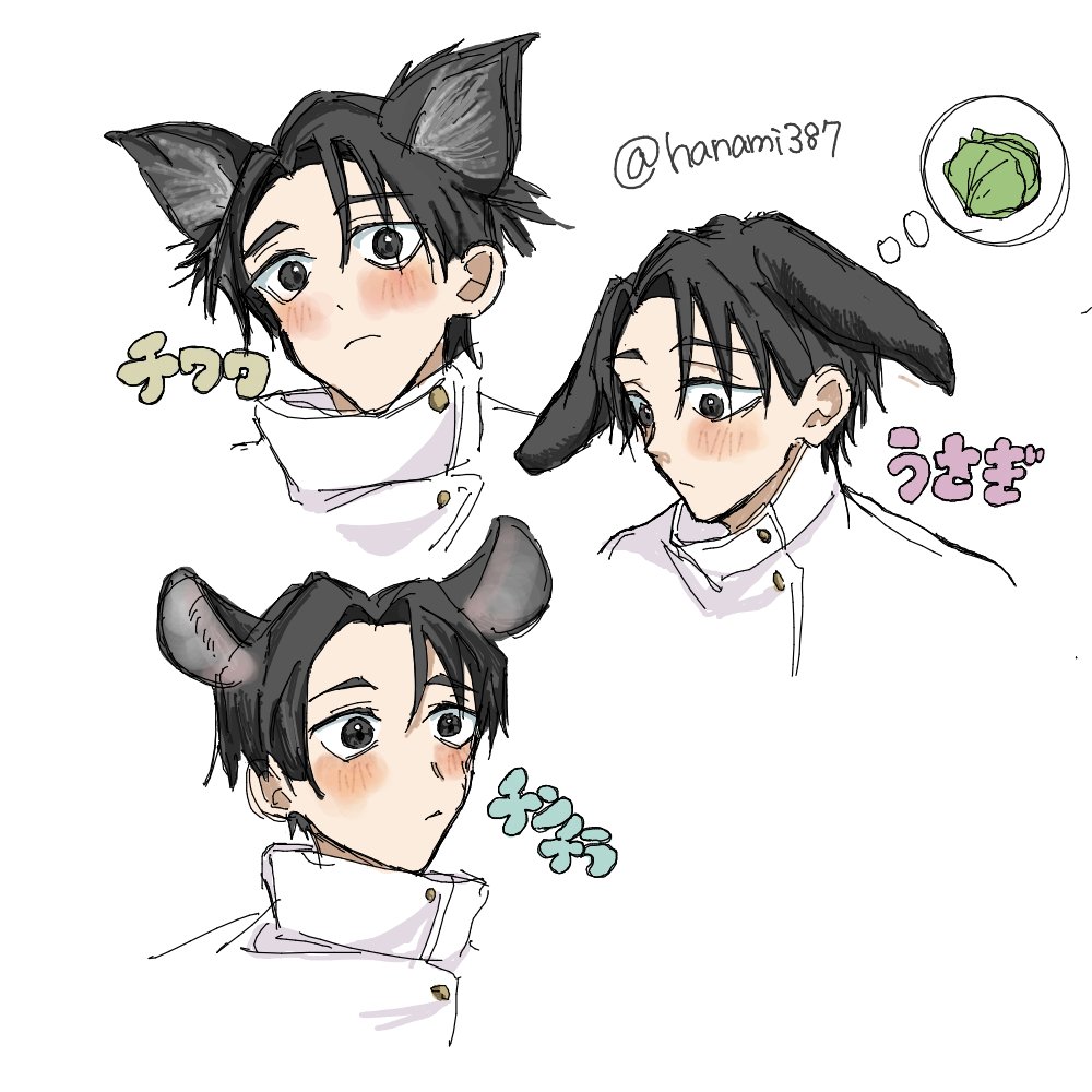 hanamint tweet media