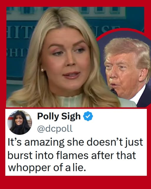 dave lawrence 🐟🐟🐠 tweet media