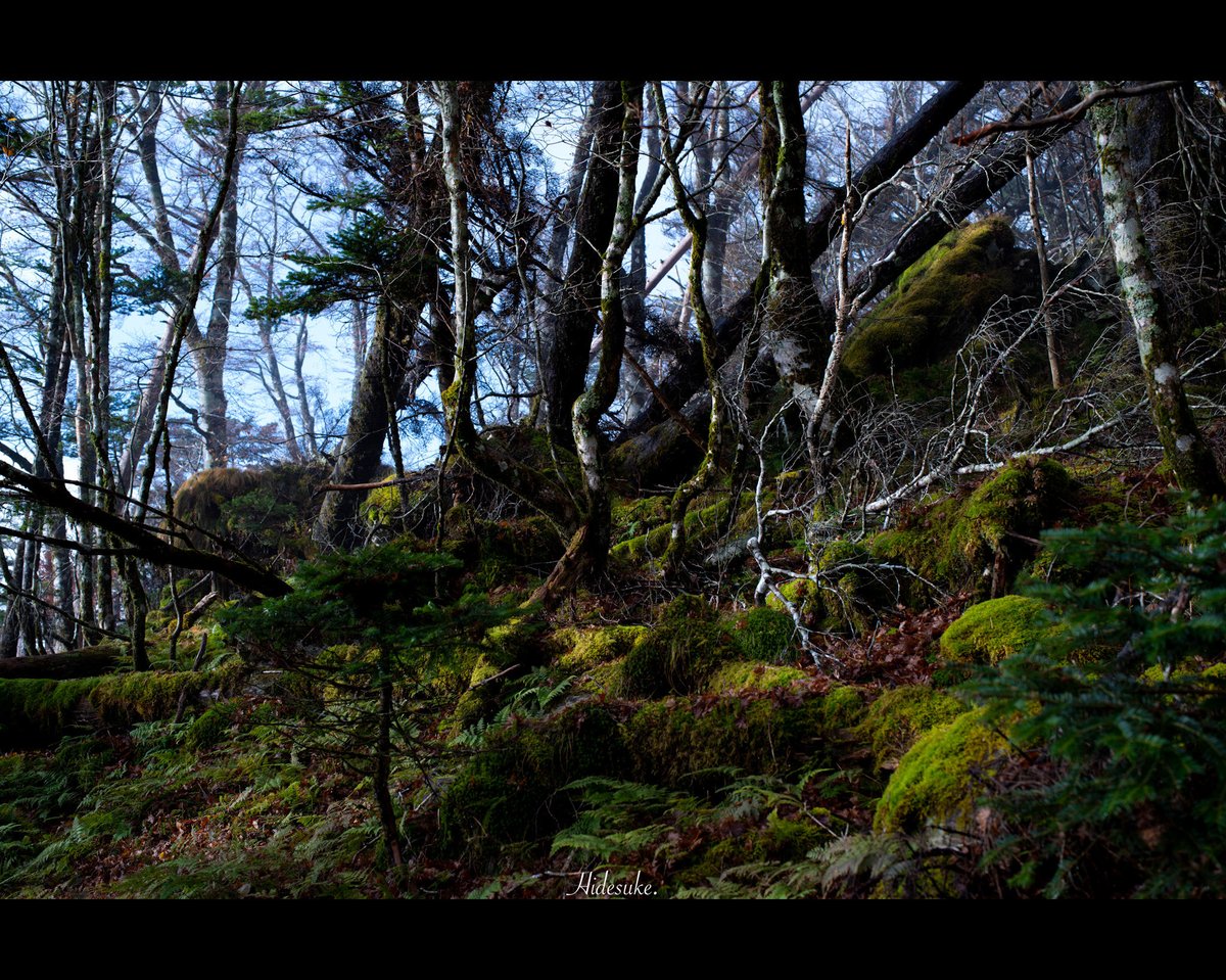 hidesuke_mood's tweet photo. 自然の匂いがプンプンしてきます

#PENTAX https://t.co/bjmGJhwiFY