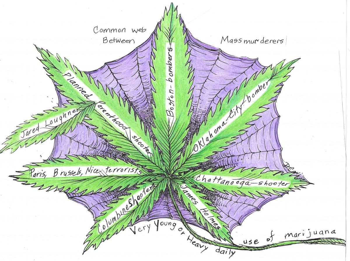 PopPot NY tweet media