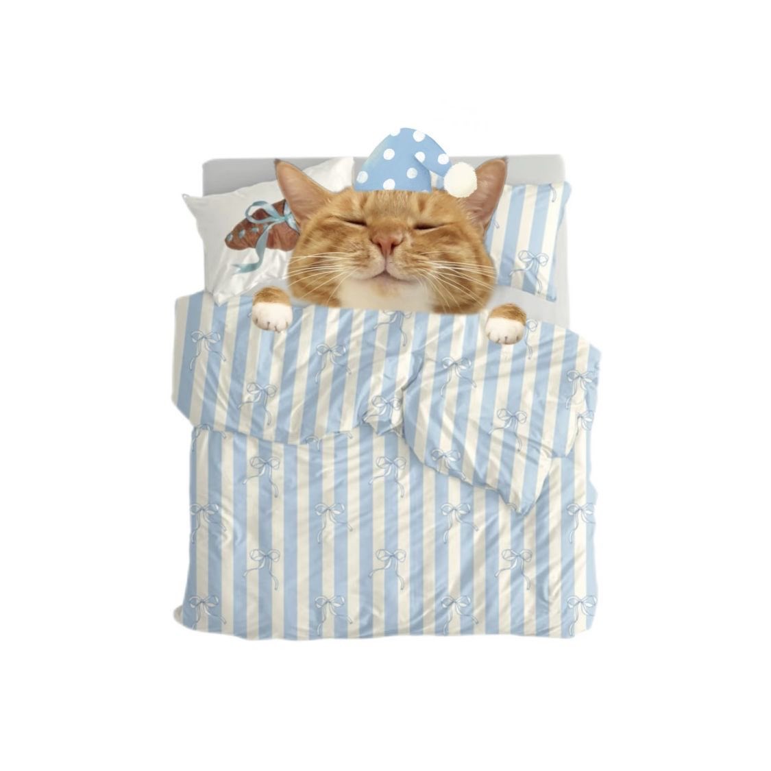 6시내고양 tweet media