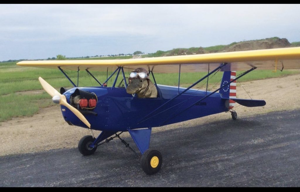 Gomu Gator tweet media