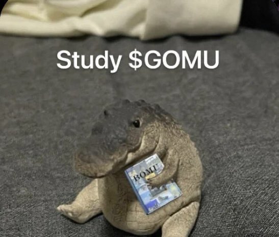 Gomu Gator tweet media