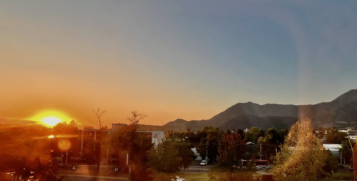 Carito 🐾 tweet media