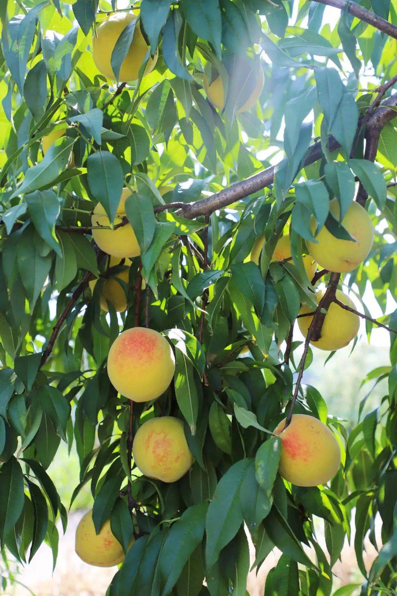 sabrina johnson tweet media