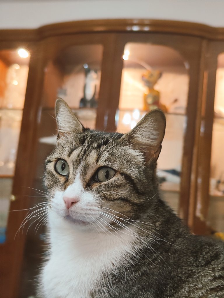 Anastasia ⚡ tweet media