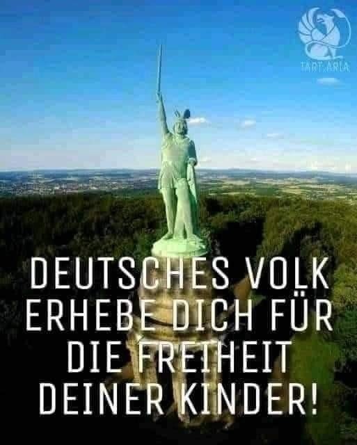 Aloisius Original tweet media