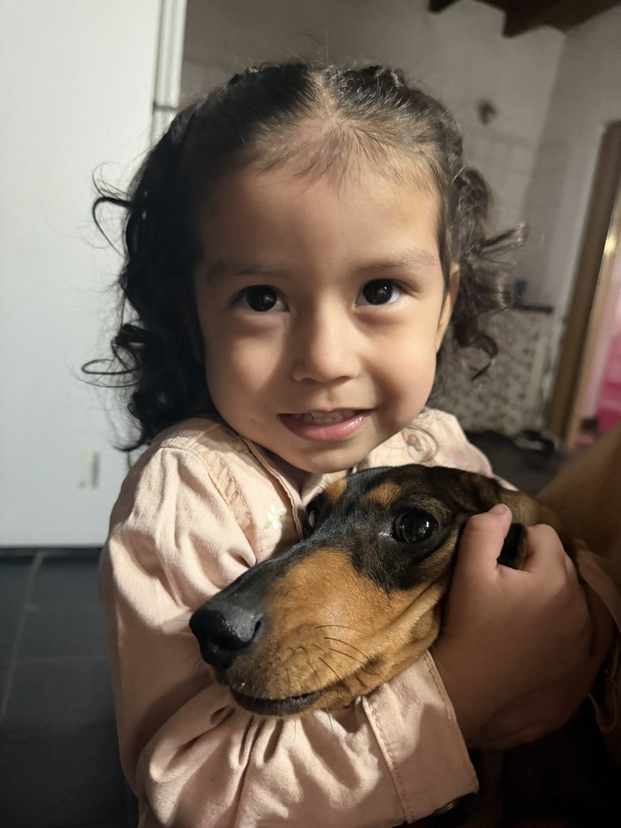 Luana ☆ tweet media